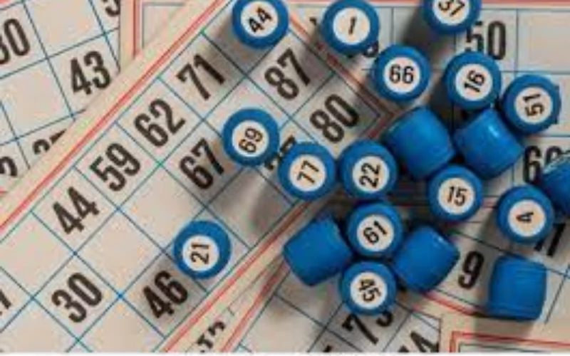 lottery sambad night at Battery Bet